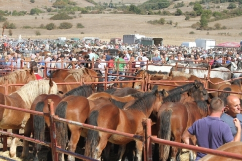 Feria ganadera de San Mateo 2022