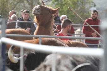 Feria de Ao de Campoo de Enmedio (2022)