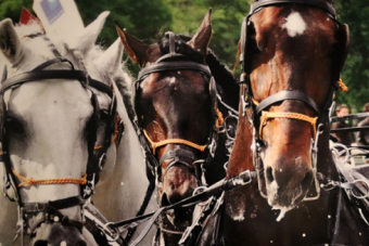 Cra Caballar de las Fuerzas Armadas, 150 aos de servicio