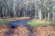De paseo por Campoo