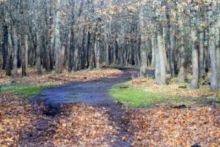 De paseo por Campoo