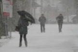 Regresa la nieve 
