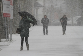 Regresa la nieve 