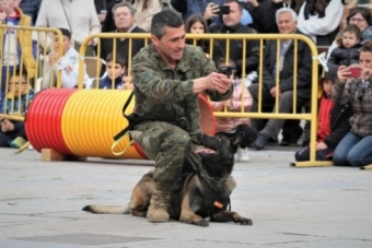 Exhibicin de la unidad canina del Regimiento de Transmisiones 21