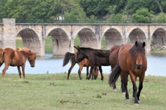 El Embalse del Ebro al 40,8% de su capacidad