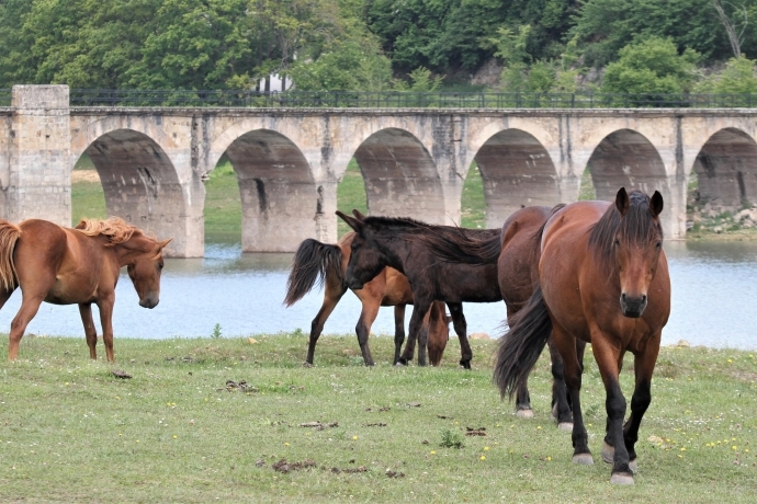 El Embalse del Ebro al 40,8% de su capacidad