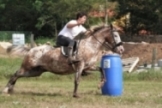 Concentraci�n de caballos en Salces
