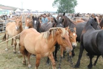 Feria ganadera de Campoo de Yuso (2023)