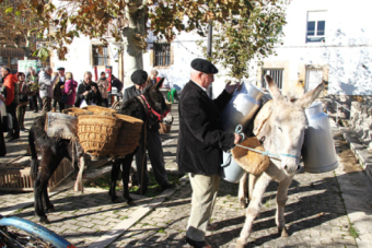 Los lunes de antao en Reinosa