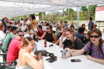 Fiesta municipal de Las Rozas de Valdearroyo (2024)