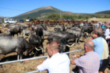 Campoo de Suso est de Feria