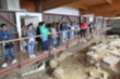 Clausura del taller 'Sabores y saberes'