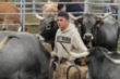 Feria ganadera de San Mateo (2024)