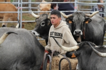 Feria ganadera de San Mateo (2024)