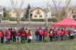 Limpieza de 'basuraleza' en el Jardn Botnico de Nestares