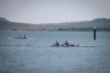 Campeonato de Cantabria de Remo Olmpico en el Embalse del Ebro