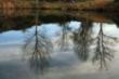 Los reflejos de la Mina Fontoria