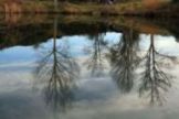 Los reflejos de la Mina Fontoria