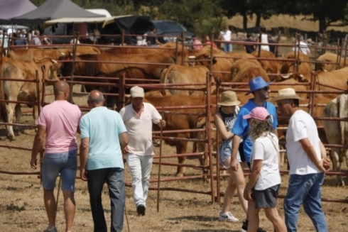 Feria ganadera de Espinilla (2025)