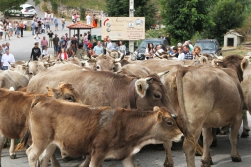 Los Campanos (Abiada 2025)