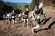 XIV Proao Trail