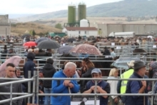 Feria de #SanMateoReinosa2025