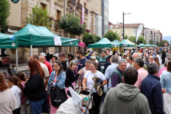 XXIII Mercado Campurriano de Reinosa (2026)