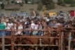 Feria de #SanMateoReinosa2026