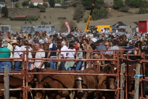 Feria de #SanMateoReinosa2026