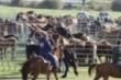 Feria ganadera de Campoo de Enmedio (2026)