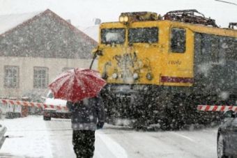 Regresa la nieve (10-02-2014)