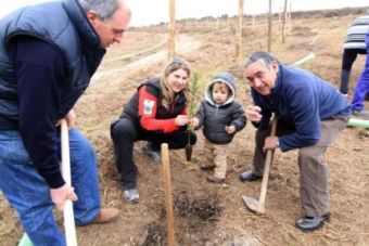 Da del rbol en Campoo de Yuso