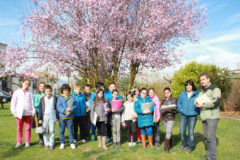 Campoo de Enmedio celebra el Da del rbol