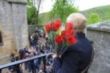 Devocin y rosas en Montesclaros