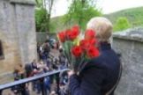 Devocin y rosas en Montesclaros