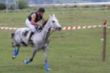 Carrera de caballos en Requejo (2014)