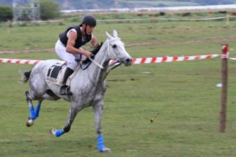 Carrera de caballos en Requejo (2014)