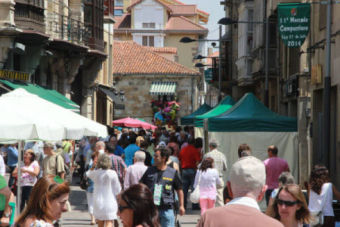 XI Mercado Campurriano