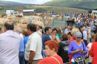 Feria ganadera de Espinilla (2014)