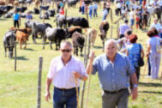 XXI Feria de Ganados de Aguayo