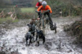 Campeonato de Espaa de Mushing Tierra en Polientes