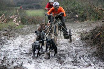 Campeonato de Espaa de Mushing Tierra en Polientes