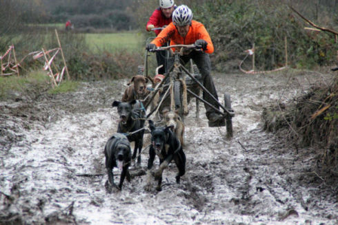 Campeonato de Espaa de Mushing Tierra en Polientes
