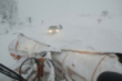 La gran nevada en Campoo de Yuso (2015)