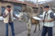 Las Marzas en Los Carabeos (2015)