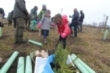 Da del rbol en Campoo de Yuso (2015)