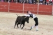Espectculo de recortadores (San Isidro 2015)