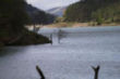 El Pantano de Alsa