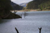El Pantano de Alsa