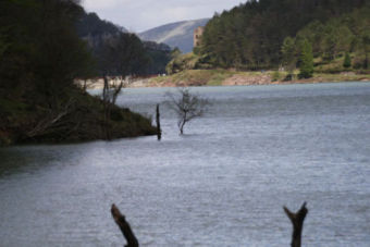 El Pantano de Alsa